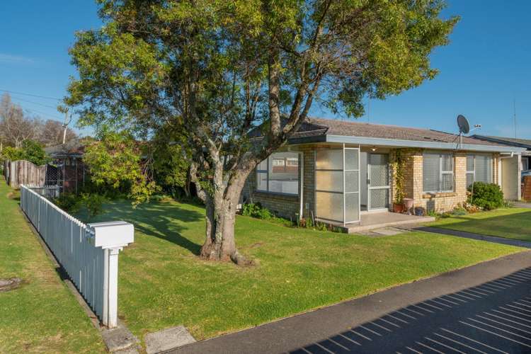 571a Fraser Street Greerton_19