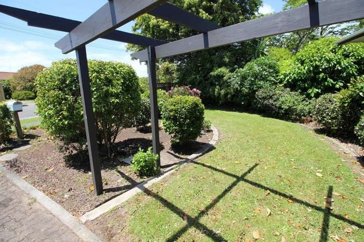 15 Wilson Street Bulls_42