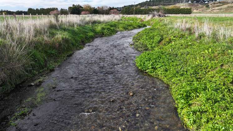 Te Maire Road Featherston_5