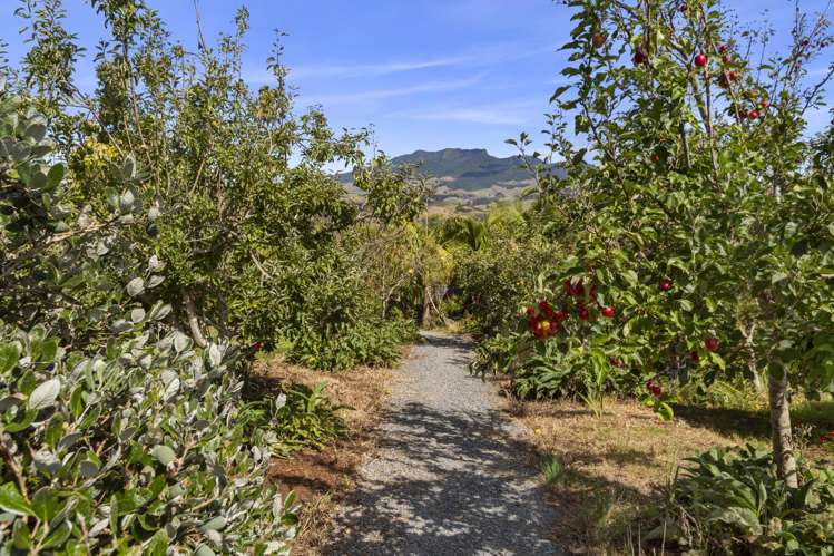 11 Somerset Lane Raglan_12