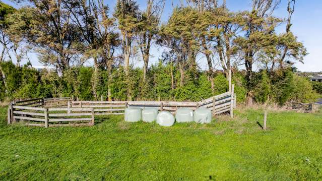 84 Mawhitiwhiti Road Normanby_3