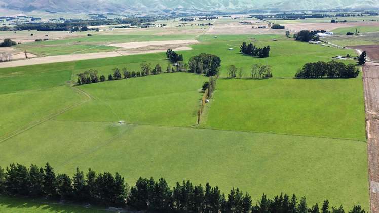 311 Hamilton Road Fairlie_4