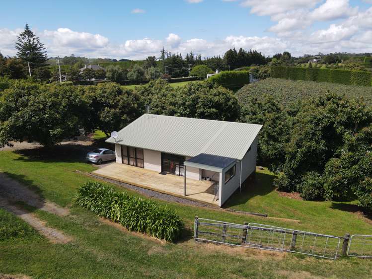 342 Youngson Road Whakamarama_25