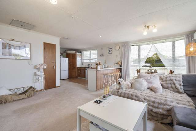 4 Milne Street Sanson_2