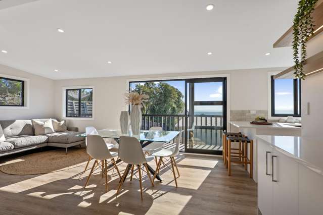 167 Soleares Avenue Mt Pleasant_3