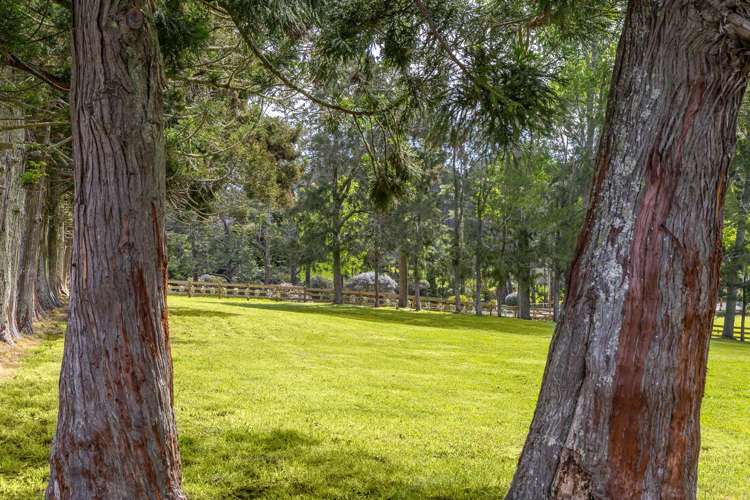 713 Ararimu Valley Road Waimauku_13