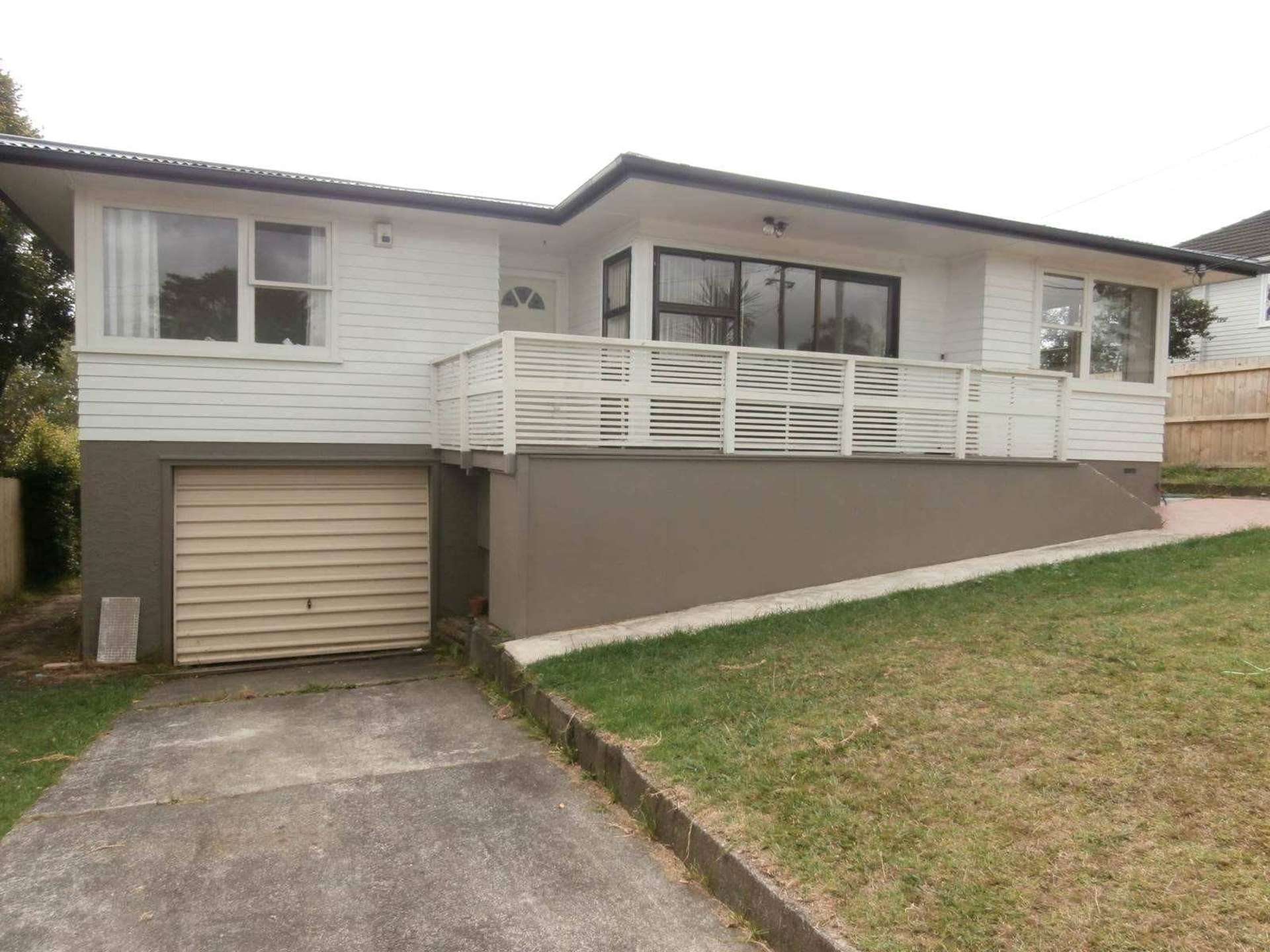 91 Webster Avenue Mount Roskill_0