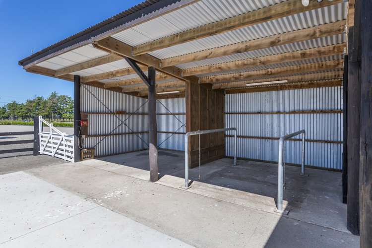 67 Alston Road Rolleston_20