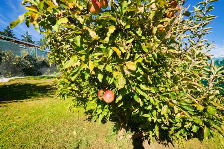 317 Caseys Road Blind River_19