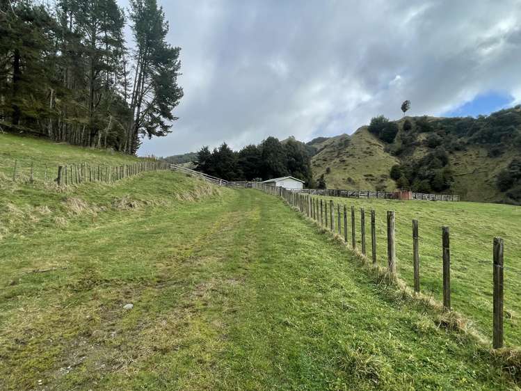 1339 Hikumutu Road Owhango_14