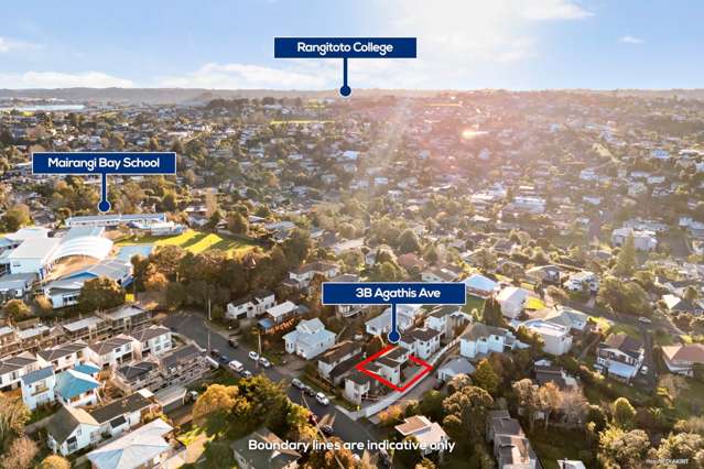 3B Agathis Avenue Mairangi Bay_3