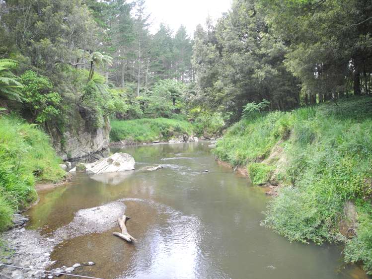 3198 State Highway 23 Raglan_17