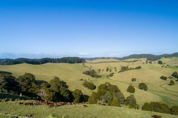 1133&1137 Matapouri Road Matapouri_34