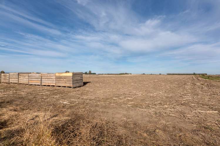 1611 Old West Coast Road West Melton_6