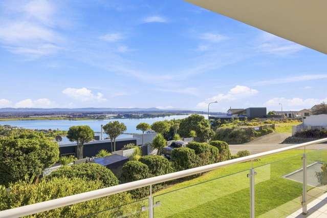60 Glenstrae Road Redcliffs_2