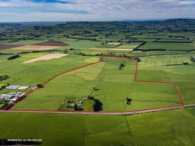 3637 State Highway 2 Takapau_0