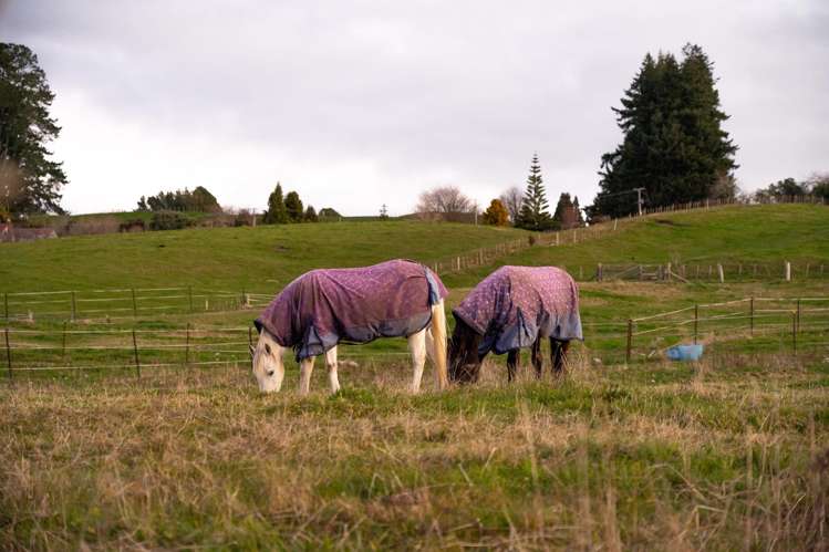 342 Pukehangi Road Sunnybrook_30