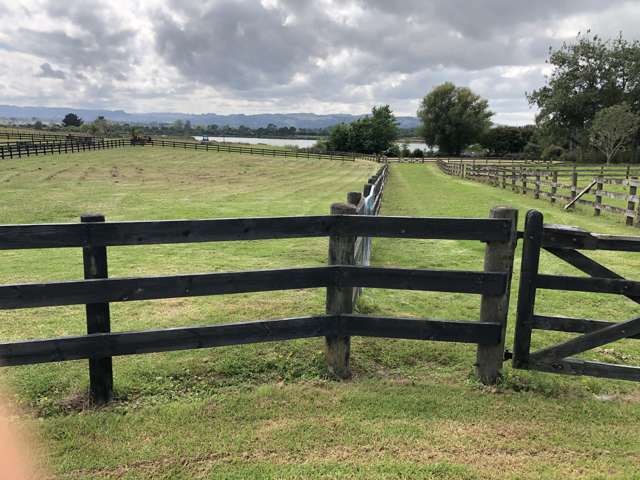 65a Walters Road Karaka_2