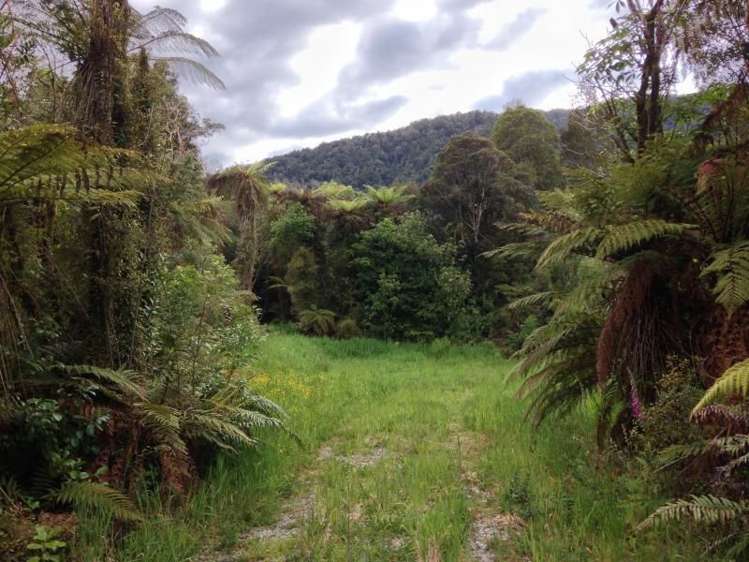 7 Punga Grove Lake Kaniere_9
