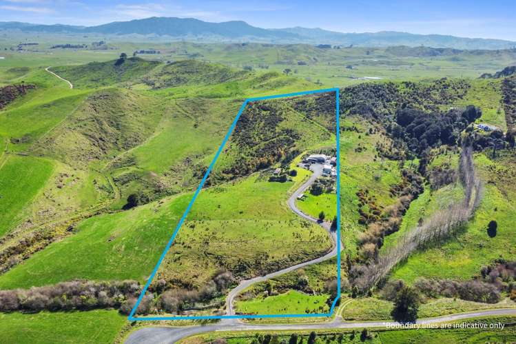 119 Card Road Tauhei_27