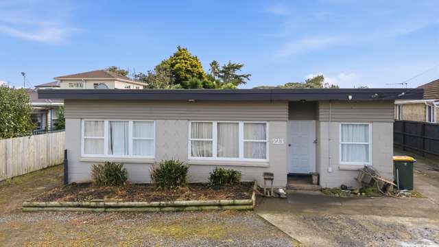 223 Puhinui Road Papatoetoe_1