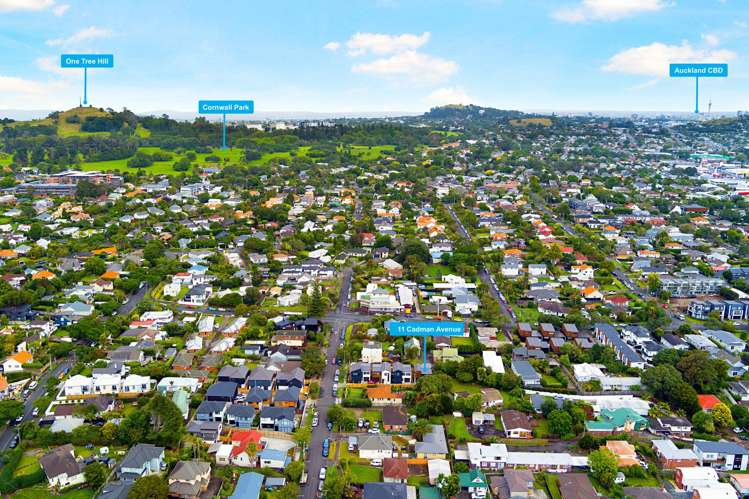 11C Cadman Avenue Greenlane_21