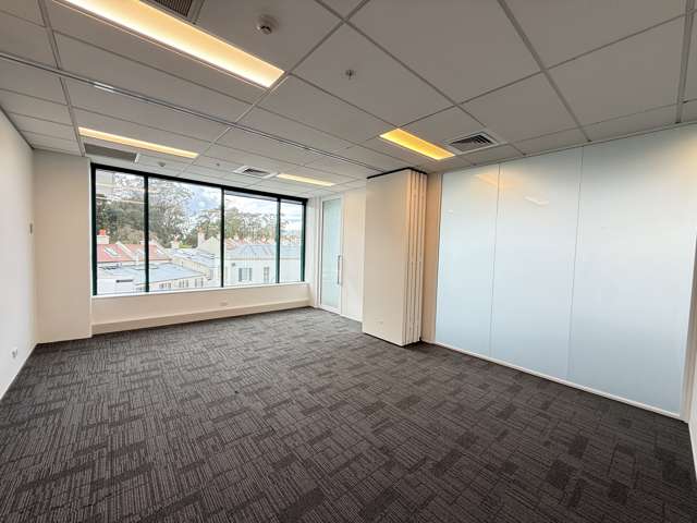 103 Carlton Gore Road Newmarket_3