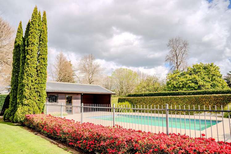 4/59c Western Avenue Omokoroa_83