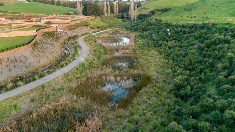 158 Adler Drive Ohauiti_6