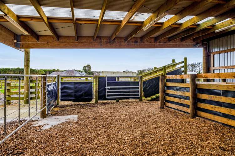 112b Princess Street Waitara_34