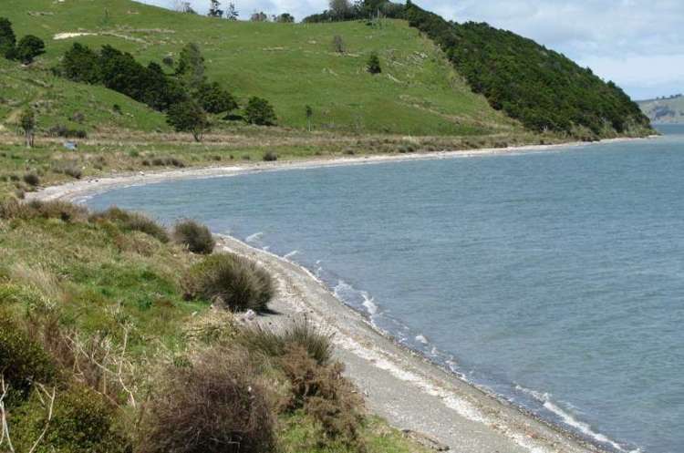 125 Massey Road Maungaturoto_3