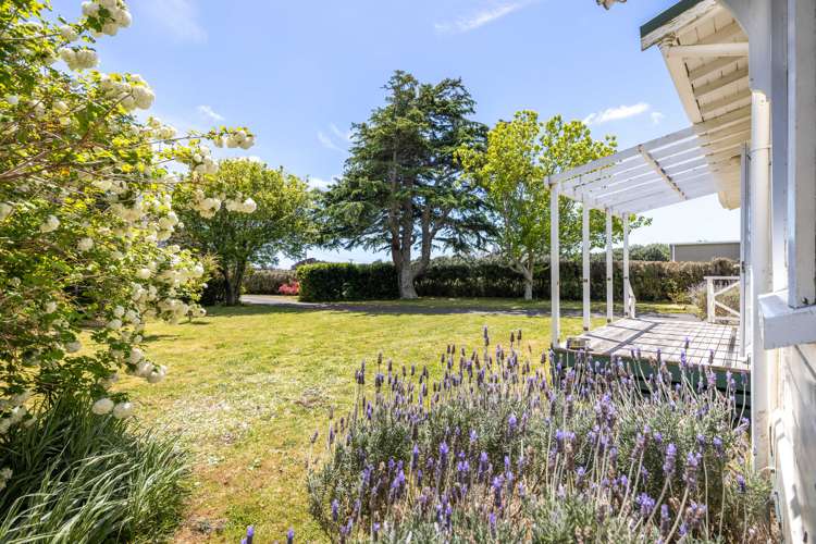 129 Raleigh Street Waitara_10