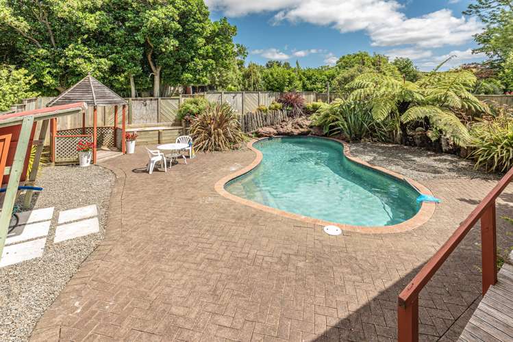 431 Kaikokopu Road Brunswick_20