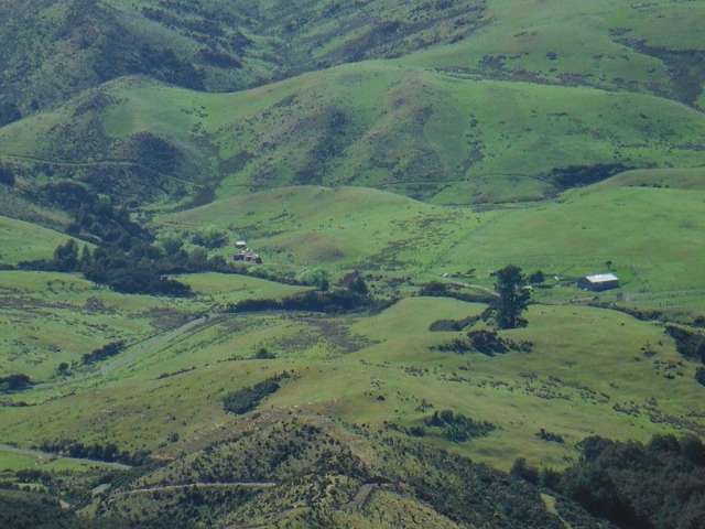 1685 Okuku Pass Road Okuku Range_4