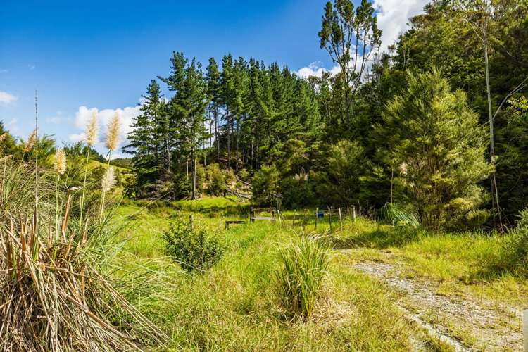 Pokapu Road Matawaia_14