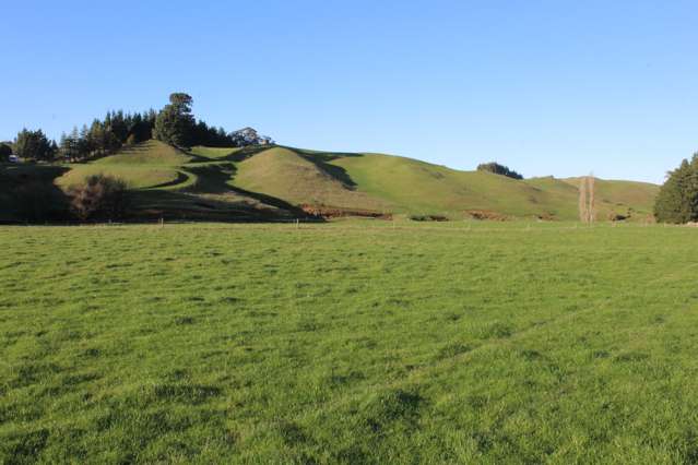 75647 State Highway 2 Norsewood_3