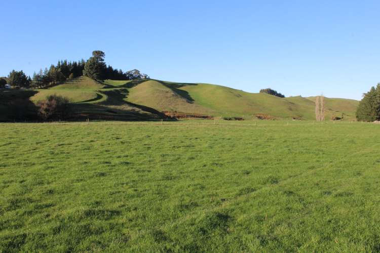 75647 State Highway 2 Norsewood_3