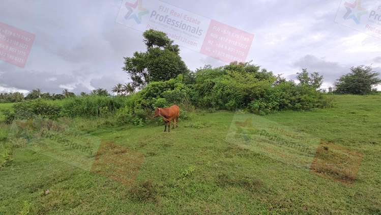 Address withheld Sonaisali_18