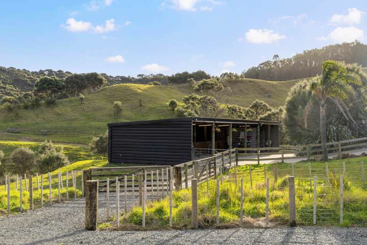 105 Zanders Road Helensville_26