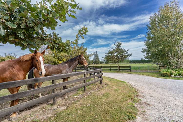 695 Essendon Road Darfield_26