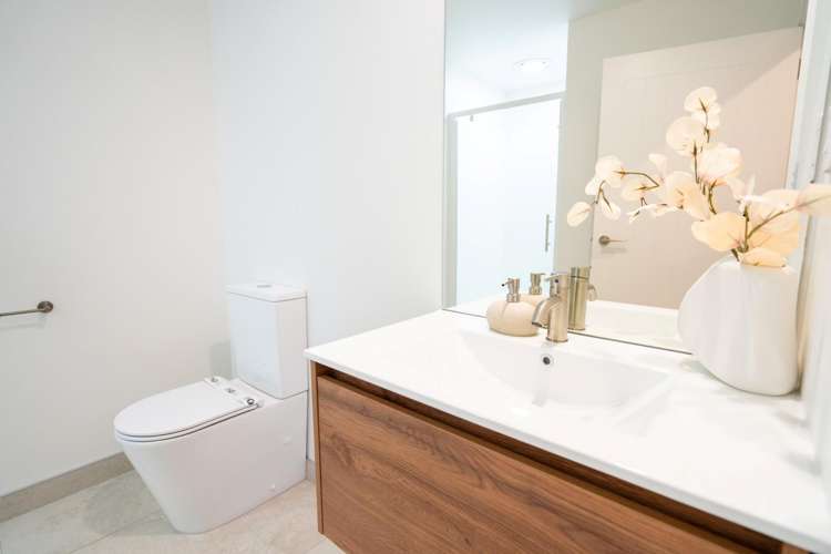 43 Hinaki Street Poike_18