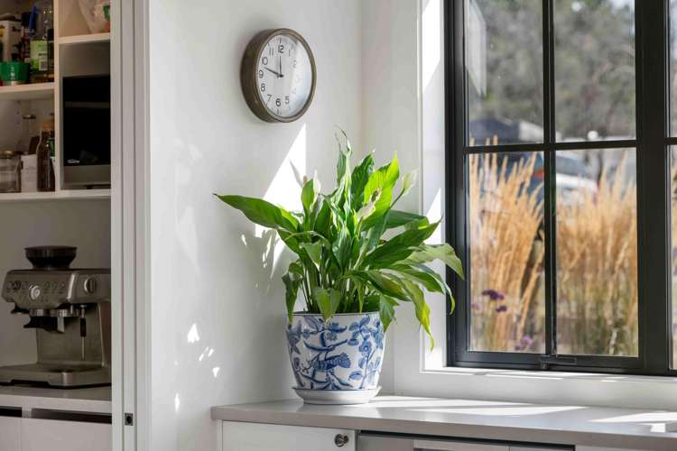 129 Hall Road Bannockburn_6