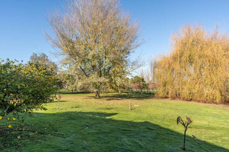 30 Bilsthorpe Lane Matangi_21