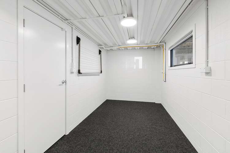 79b Herald Street Berhampore_13