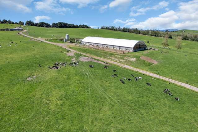 Knight Road Ruatangata_3