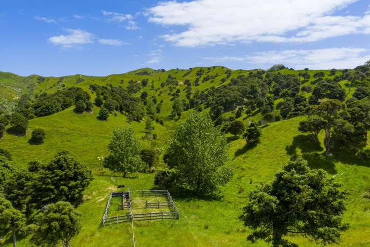 Te Akau Coast Road Te Akau_17