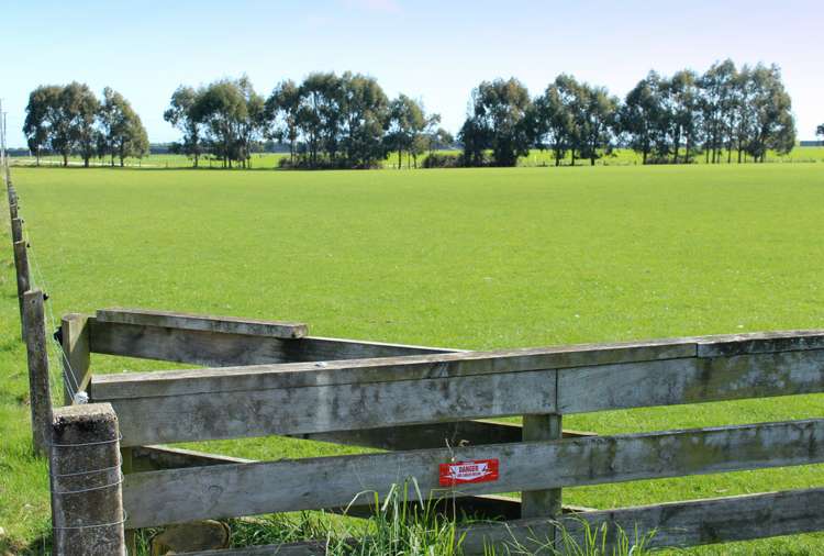 865 Lorne Dacre Road Winton Surrounds_6