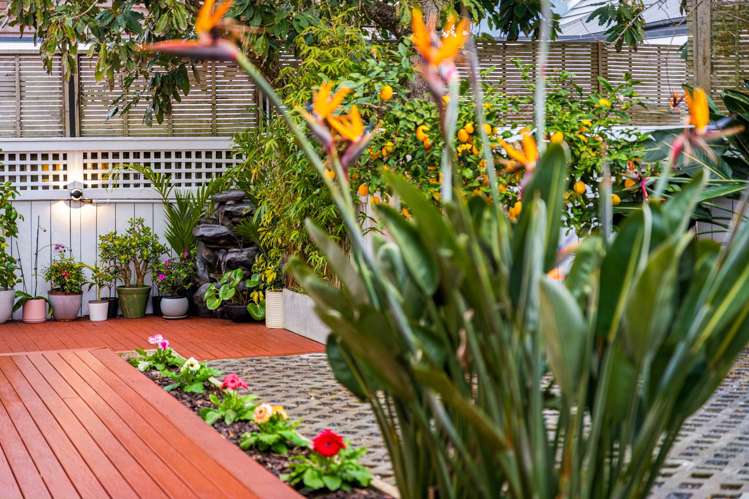 30A Green Lane East Remuera_28