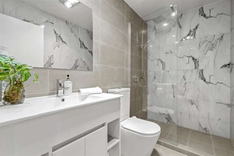 3 Serpent Road Flat Bush_7