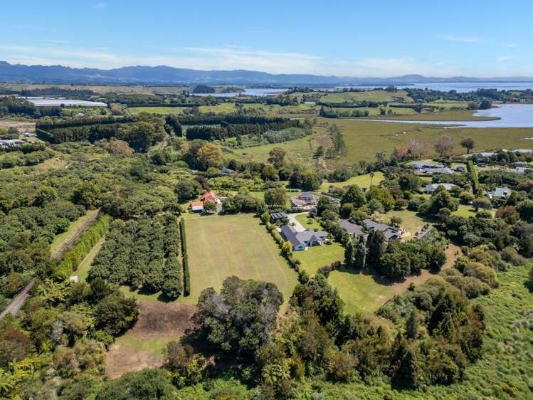 11b Astelia Drive Omokoroa_7